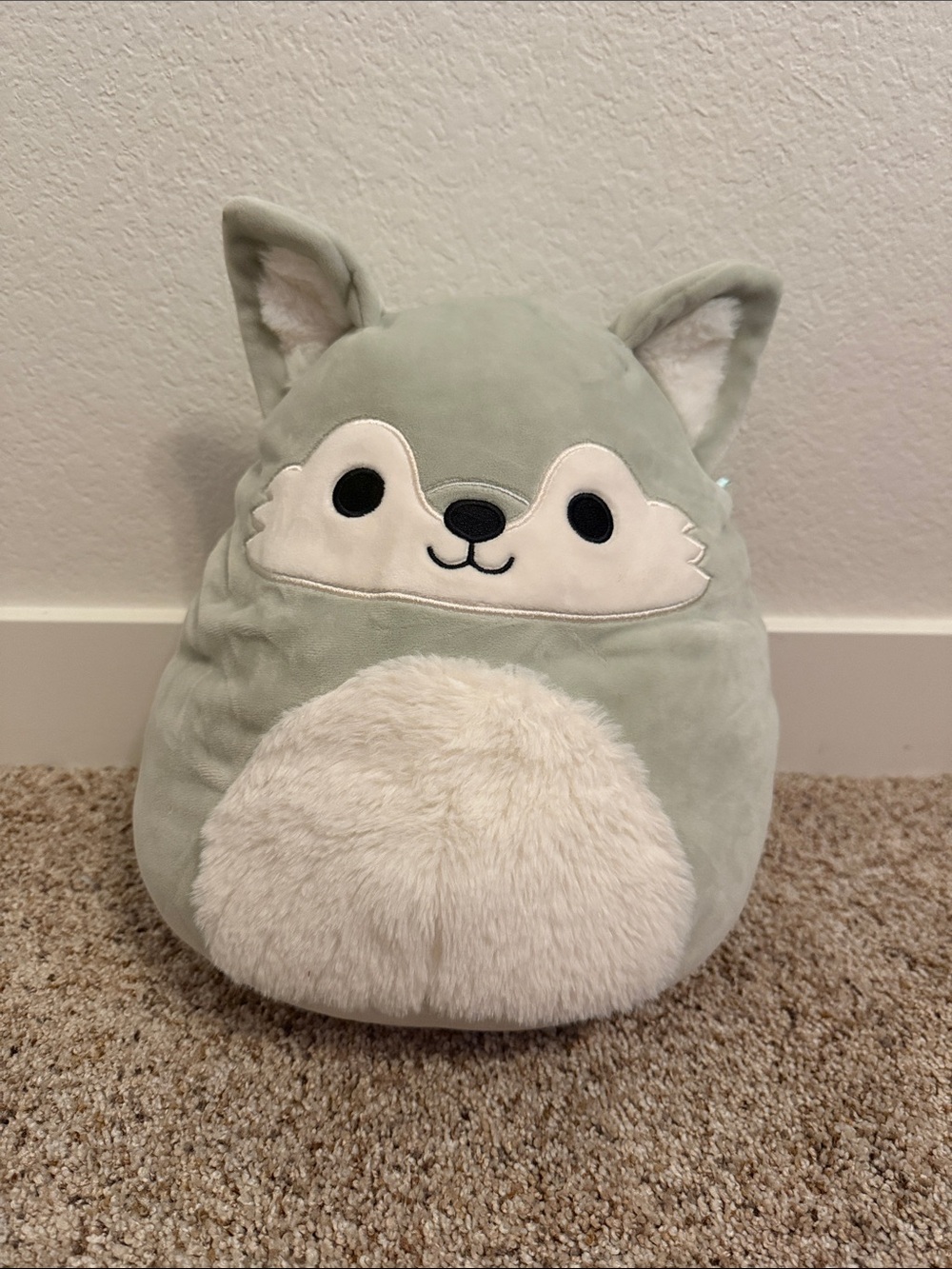 Willy Wolf squish mallow
